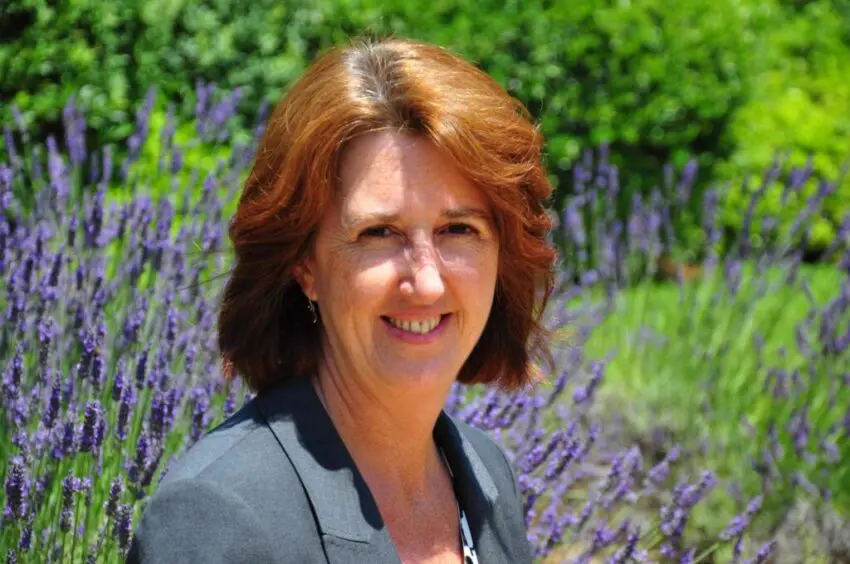 Diane Bouzebiba_Amadeus
