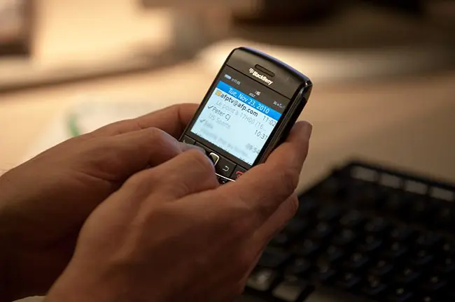 blackberry