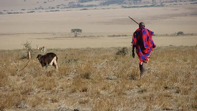 Maasai_man,_Eastern_Serengeti,_October_2006