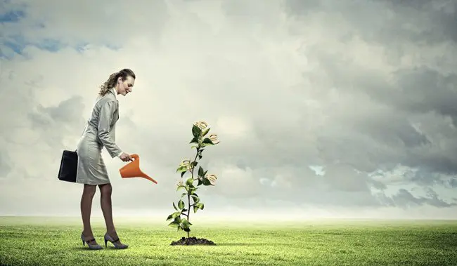 shutterstock_150187586