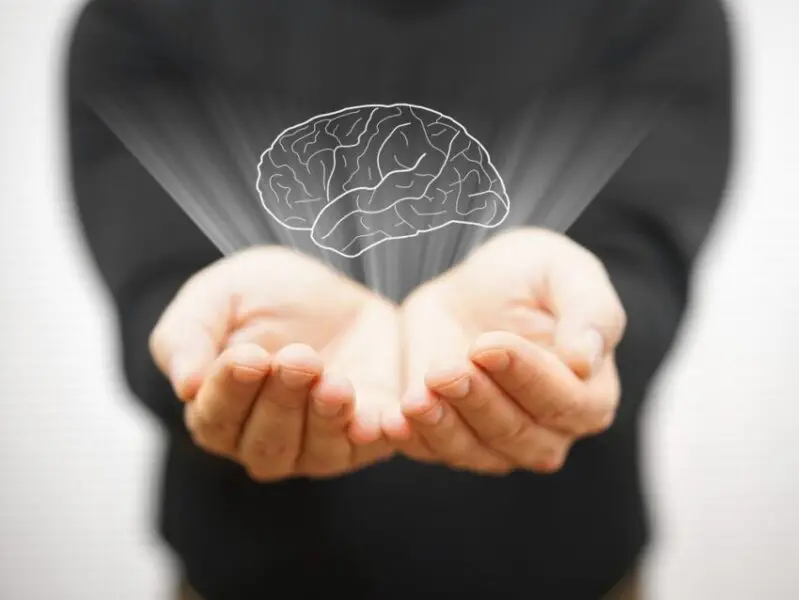 shutterstock_235065121