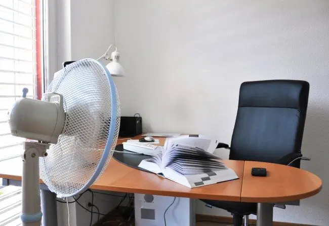 fan