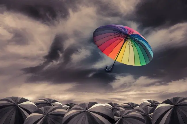 shutterstock_255293044