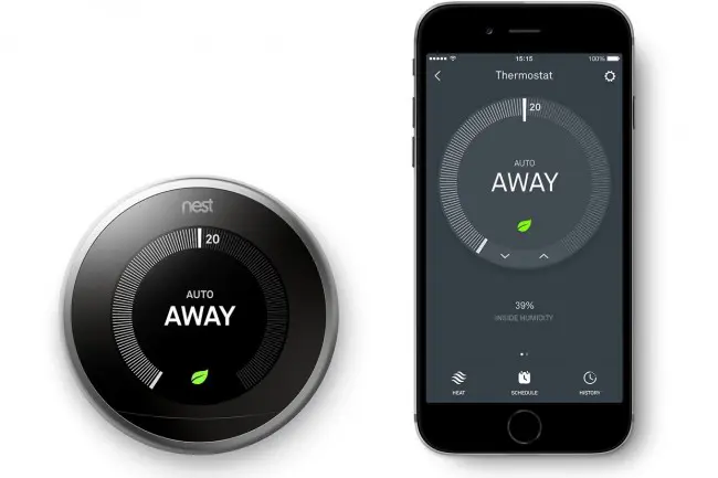nest1