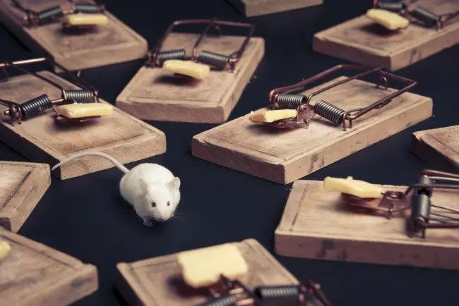 Is your business at rick from falling into the innovation brand trap?