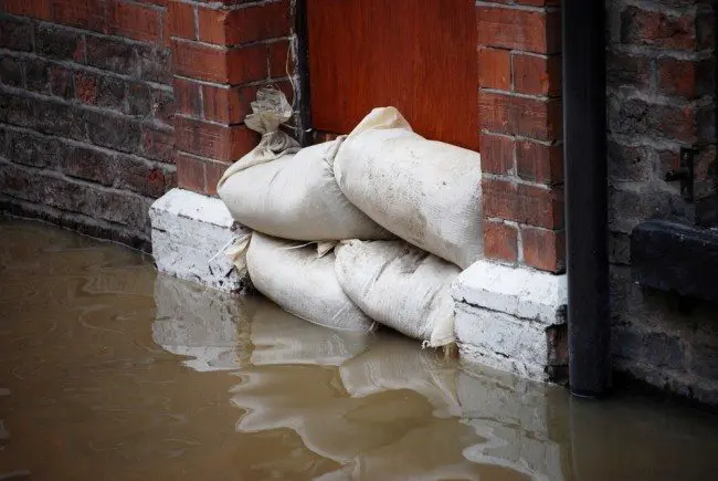 businesses face rising costs of flooding