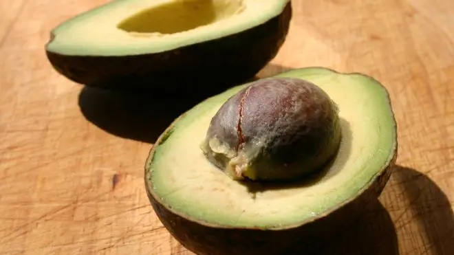 avocado