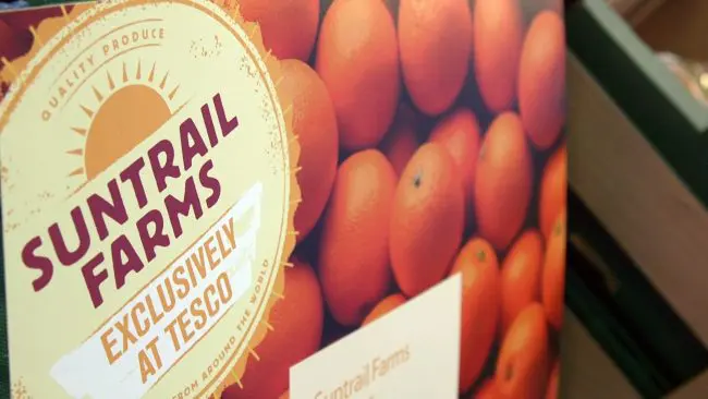 3011948_SUNTRAIL-FARM_Tesco