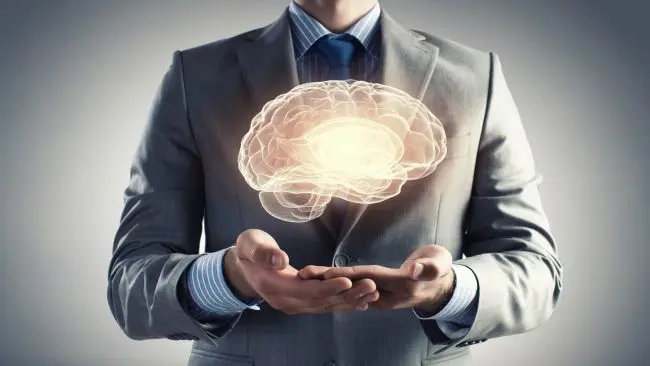 Brain