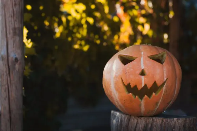 Halloween