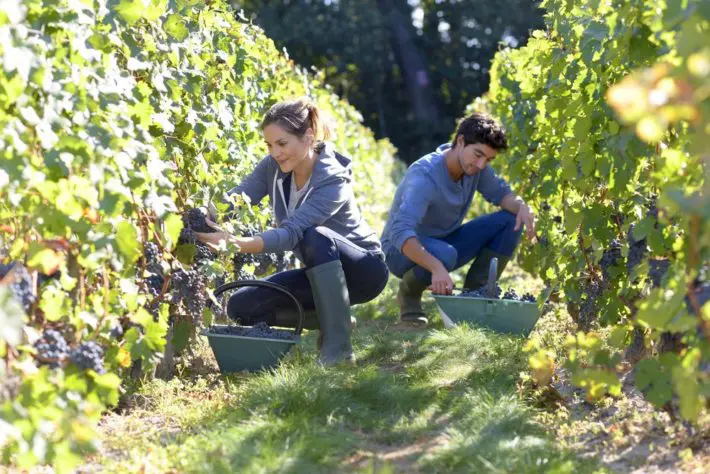 seasonal jobs