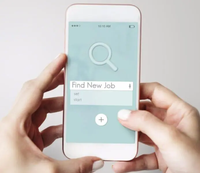 job search