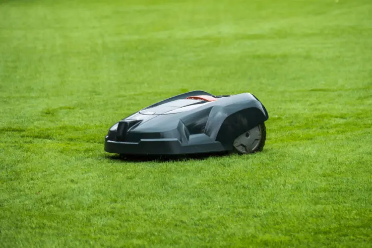robotic lawnmower