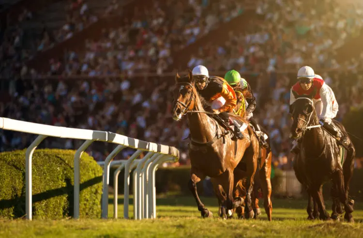 horse race