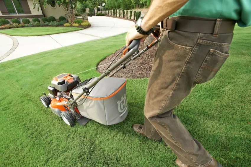 garden staff