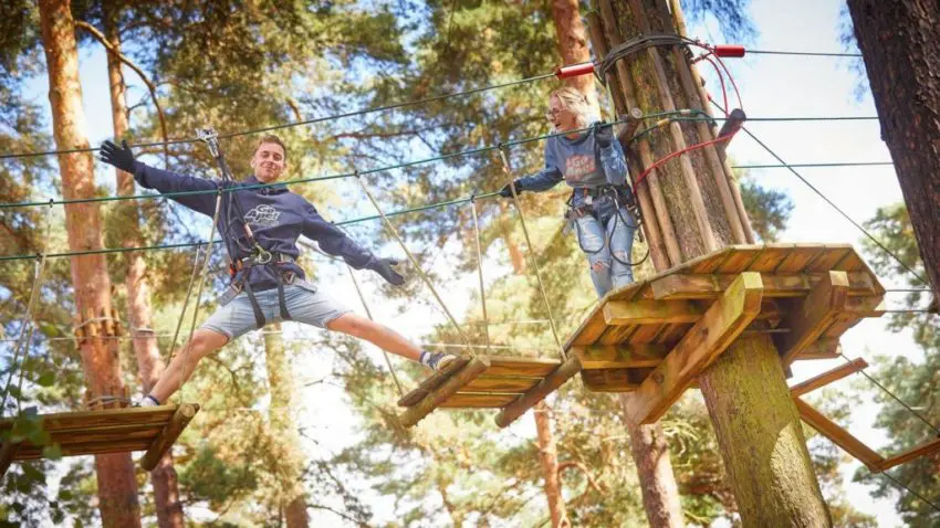 Go Ape