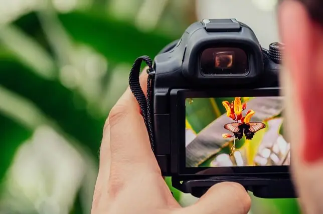 How-to-Make-Money-with-Photography-10-Best-Ways-in-2020-4
