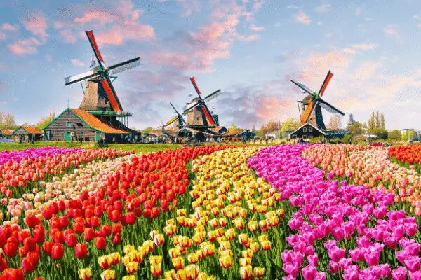amsterdam