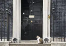 Rumour has it that Rachel Reeves is limbering up for November with a Budget that will make the taxman’s quill squeak like a stuck pig. Property, pensions, profits, pasties — all grist to the Exchequer’s mill.