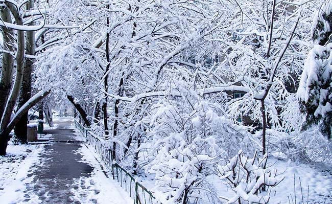 winter-work-at-home