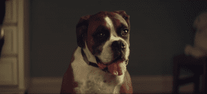 John Lewis Christmas ad