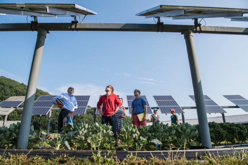 eco business