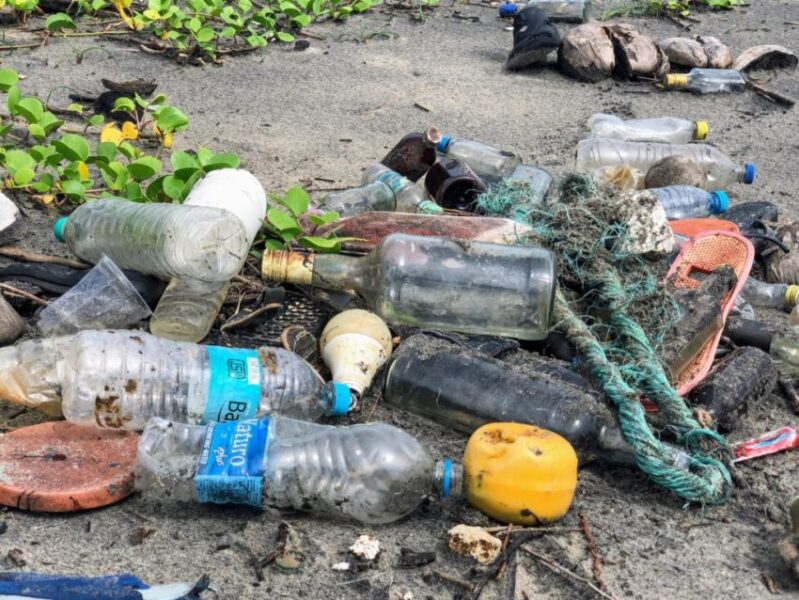 Plastic pollution