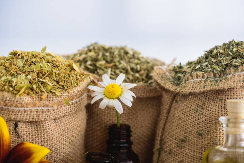 Chamomile