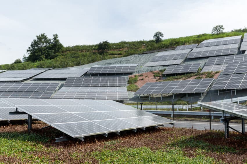carbon neutral business