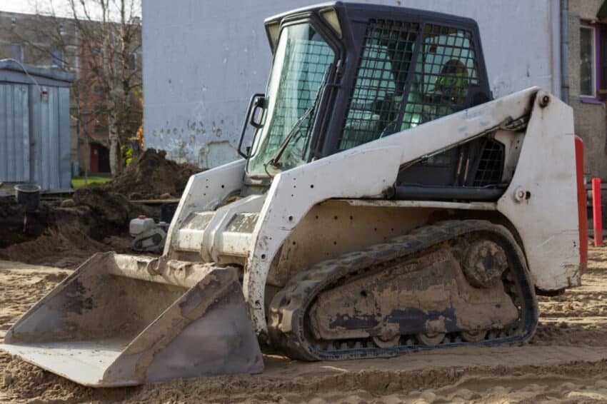 Bobcat