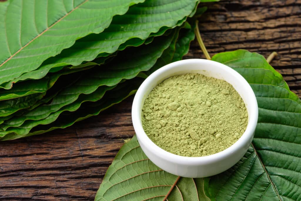 Mitragynina,Speciosa,Or,Kratom,Leaves,With,Powder,Product,In,White