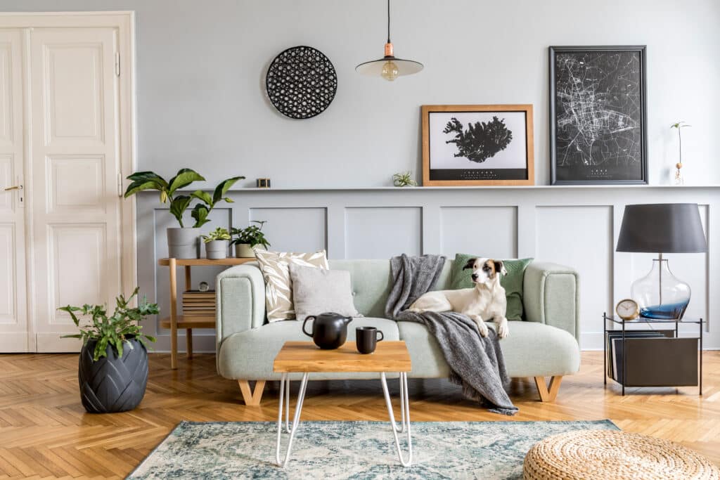 Stylish,Interior,Design,Of,Living,Room,With,Modern,Mint,Sofa,