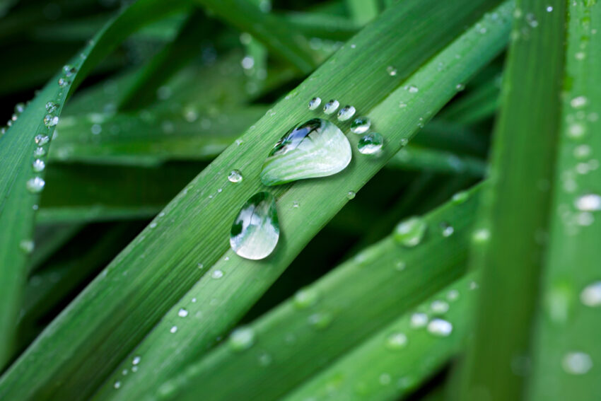Carbon,Footprint,Made,Of,Drop,Of,Water