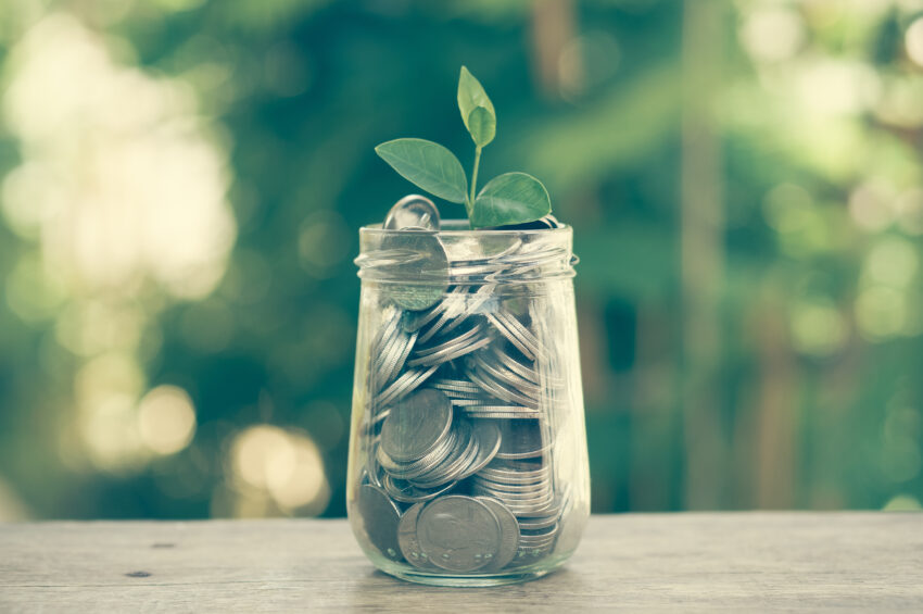 Plant,Growing,Out,Of,Coins,With,Filter,Effect,Retro,Vintage