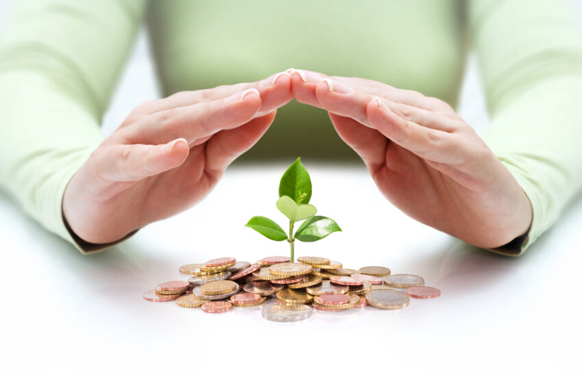 Protect,New,Business,Start-up,-,With,Hands,And,Plant