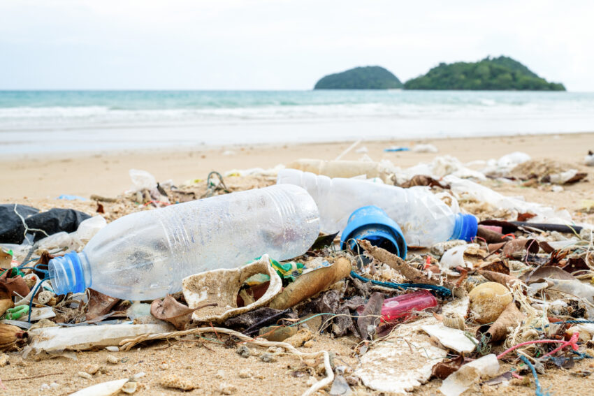 Litter on beaches has fallen to the lowest level for more than 20 years, according to the country’s largest annual clean-up event.