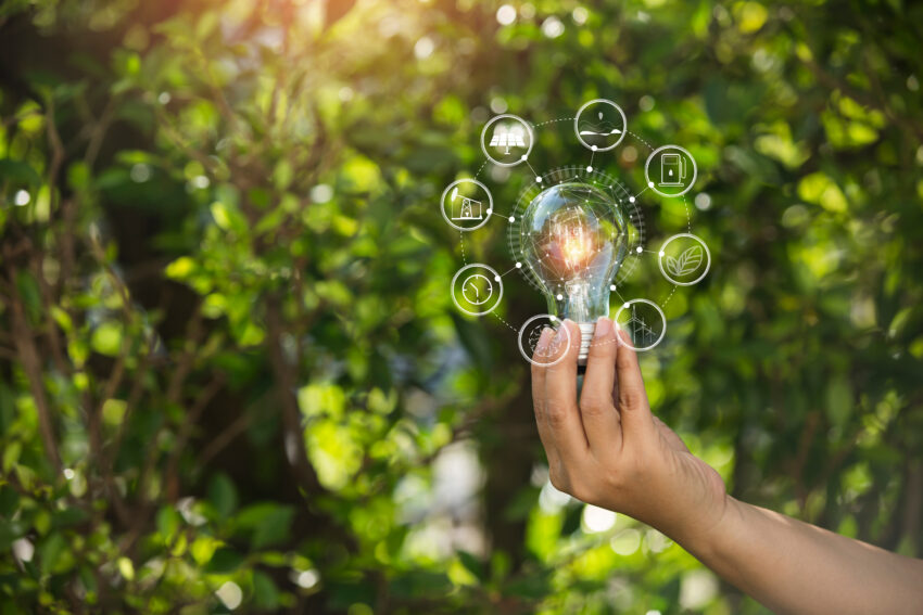Light,Bulbs,That,Grow,,In,The,Concept,Of,Energy,In