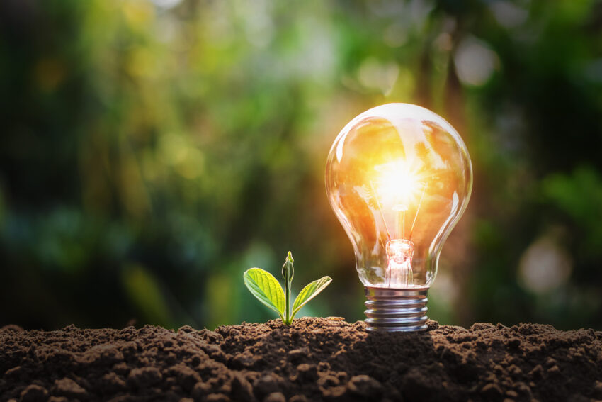 Lightbulb,With,Small,Plant,On,Soil,And,Sunshine.,Concept,Saving