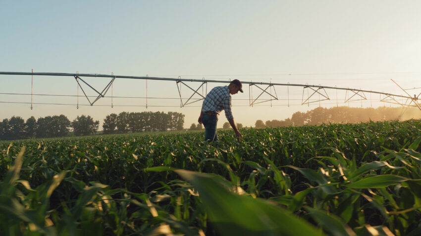 British farmers face rationing of fertiliser as sanctions on Russia stoke fears about availability, leading to warnings of food shortages and hefty price rises.