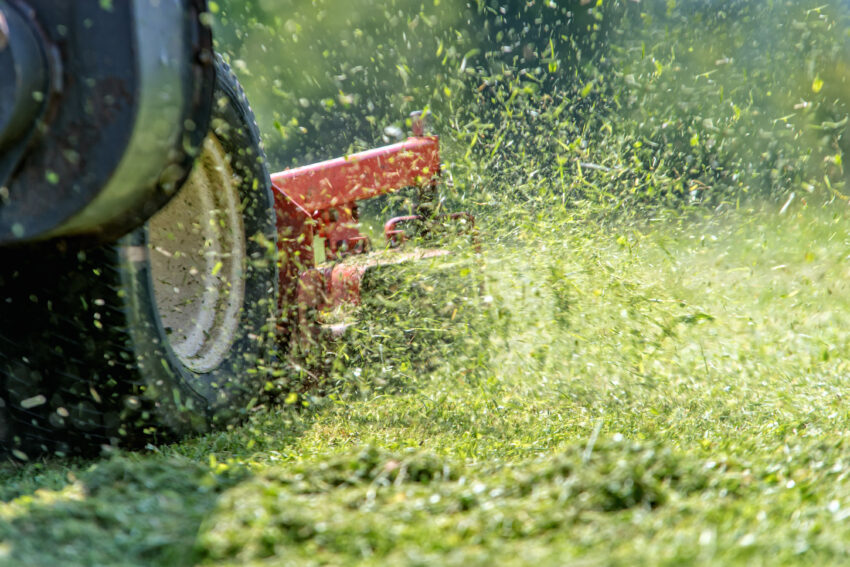 Lawnmower,At,Work