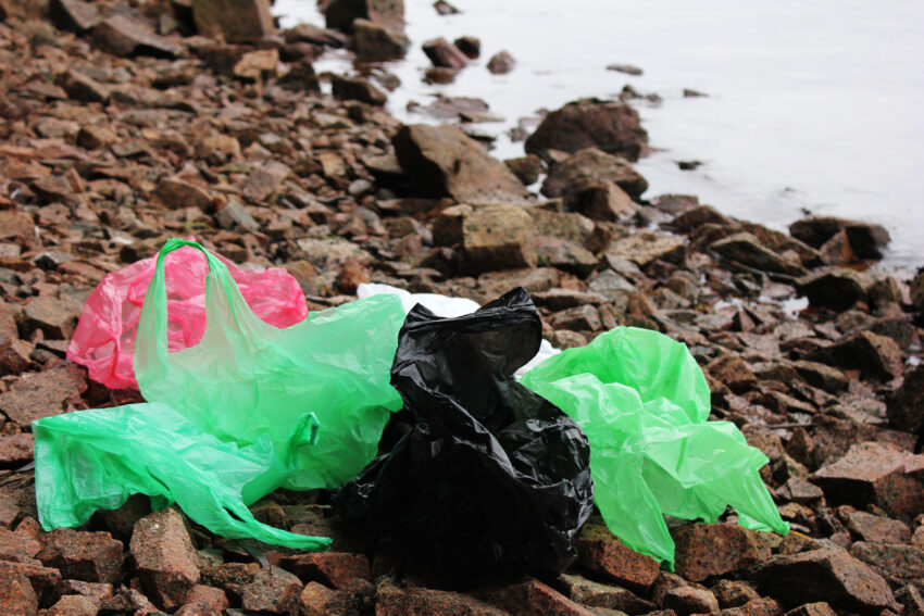 Wales has moved a step closer to becoming the first country in the UK to ban thin plastic single-use carrier bags, with anyone caught supplying them facing prosecution in a magistrates court and a fine.