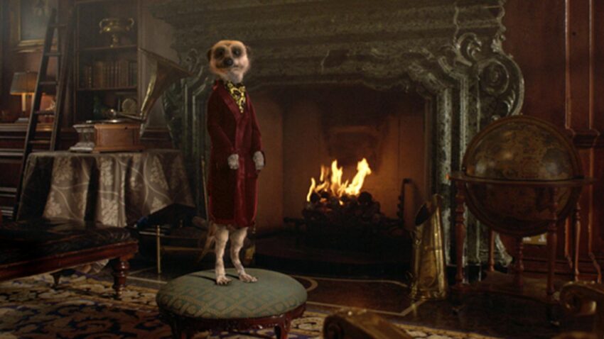 Meerkats beware: Amazon is trying to hunt you down. The online retailer is entering the home insurance price comparison market, hoping to succeed where Google failed.