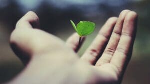 Sustainable Business Award finalists released | The Business Champion Awards 2023