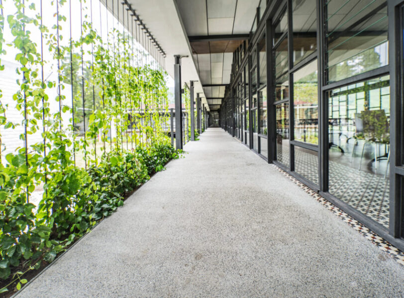 Natural,Green,Scenery,View,Modern,Glass,Office