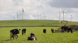 https://electrichome.uk/powering-your-home/wind-turbines/the-uks-green-powered-future-five-leading-wind-farm-projects/