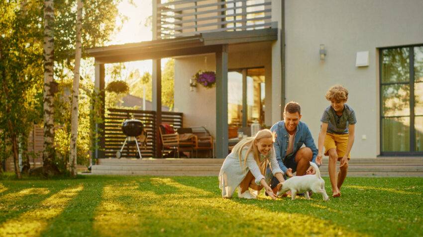 Interfamily relationships have many legal dilemmas that should be handled carefully. In family law, step-parent adoption and custody matters are two of the most cumbersome issues. They pose several challenges for blended families where one or both spouses have children from prior relationships. 