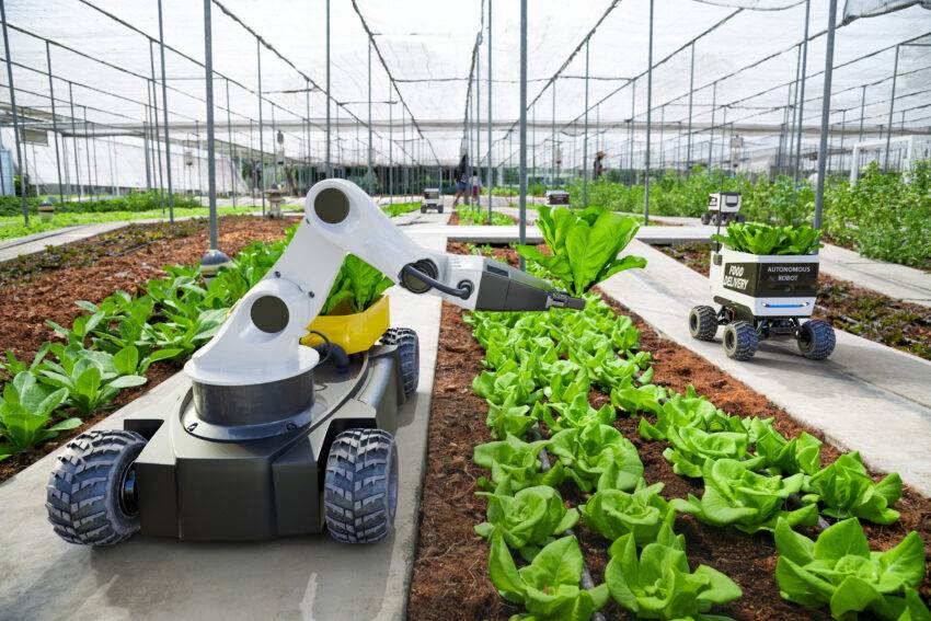 Automation and robotization are no longer limited to manufacturing processes alone; modern warehouses are also embracing a plethora of new technologies.