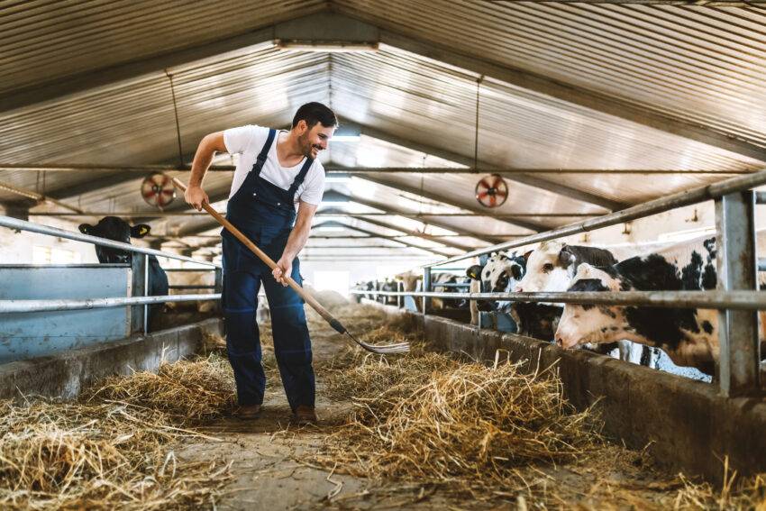Facing a bloc-wide farmers’ uprising, European Commission President Ursula von der Leyen has boldly taken a major ‘Farm to Fork’ policy off the table.