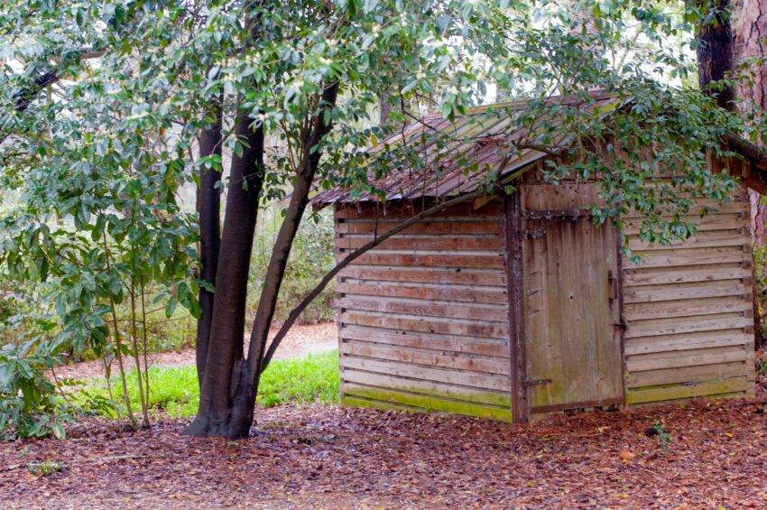 The journey to acquire a new shed transforms not just your garden but your lifestyle, offering a blend of utility and aesthetic pleasure.