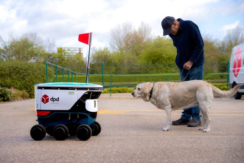 A labrador guide dog named Amelia from Raunds wasn't quite sure what to make of a new DPD delivery robot named Levi she encountered on a walk with her owner, David Holmes.